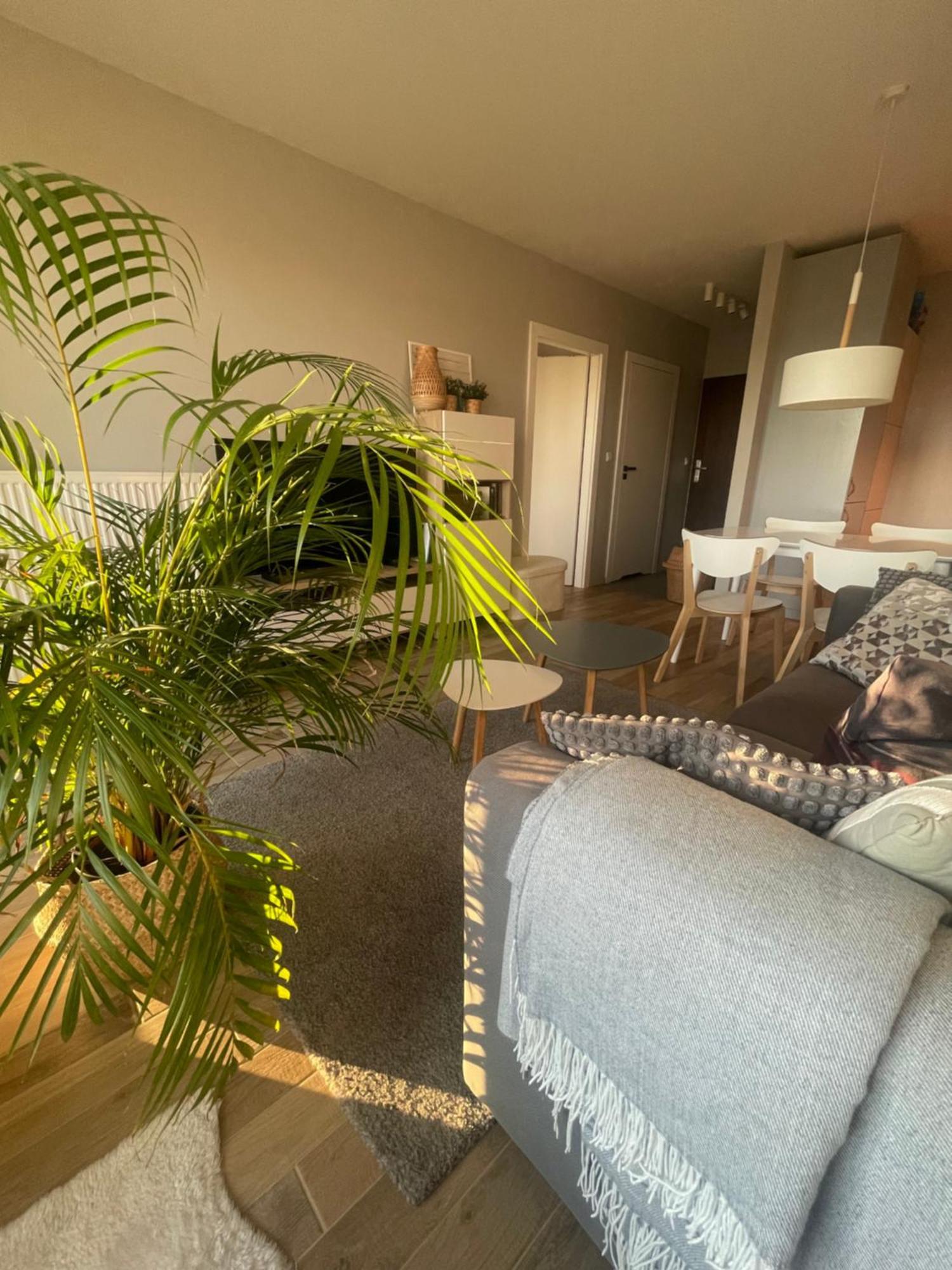 Sloneczny Apartament Z Garazem Przy Parku Kosciuszki Katowice Extérieur photo